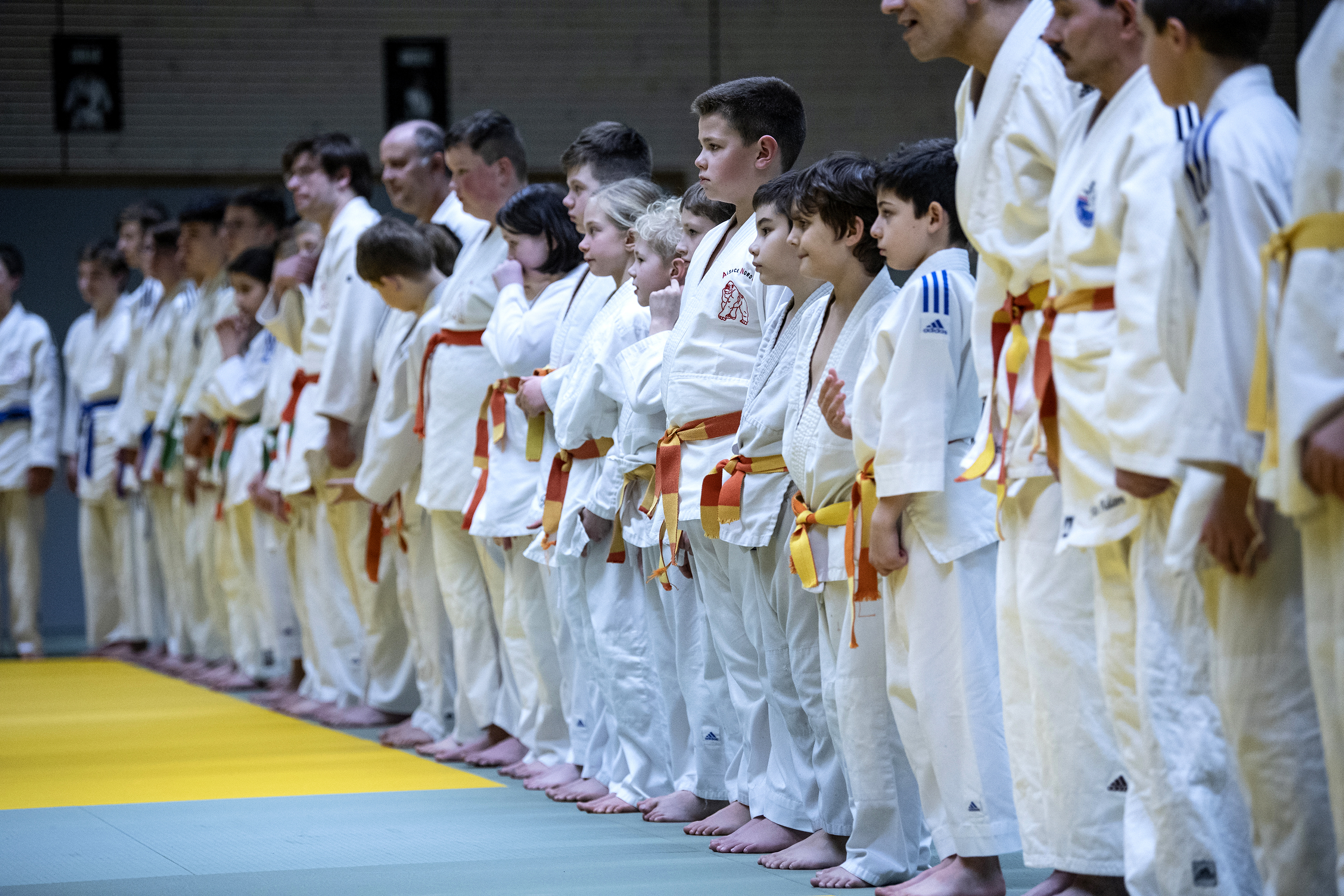 Ceintures de judo