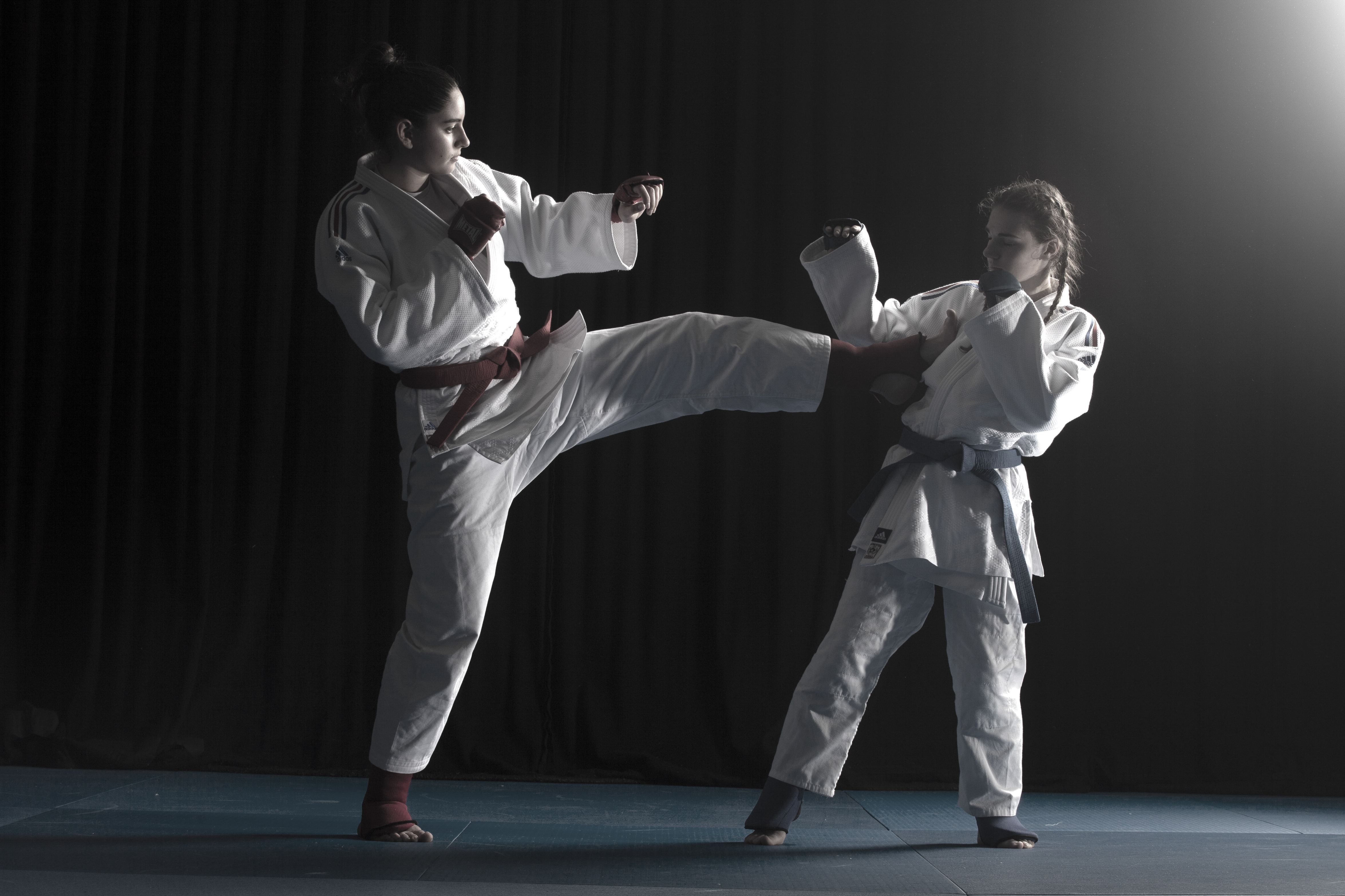 Techniques de Ju-jitsu